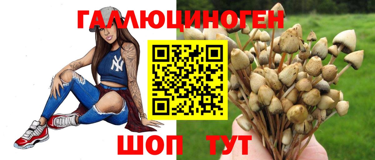 Псилоцибиновые грибы GOLDEN TEACHER  Вход с VPN  Галлюциногенные грибы Psilocybine cubensis  Новочебоксарск 